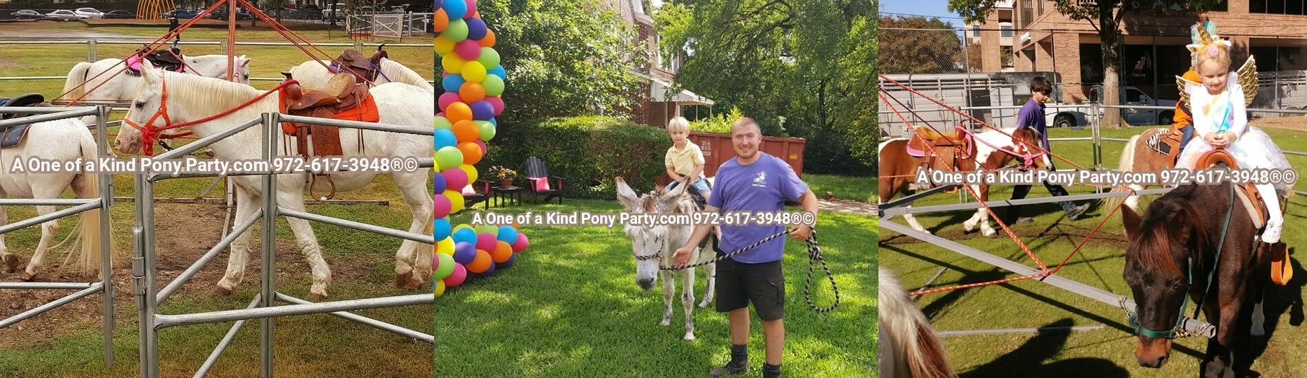 A One of a Kind Petting Zoo