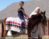 Riding Donkey Mule in Dallas Texas