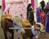 House Blessing Rentals in Dallas Texas